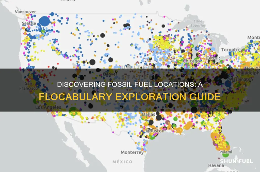 where are fossil fuels found flocabulary