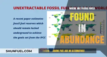 Global Hotspots: Regions Rich in Abundant Fossil Fuel Reserves