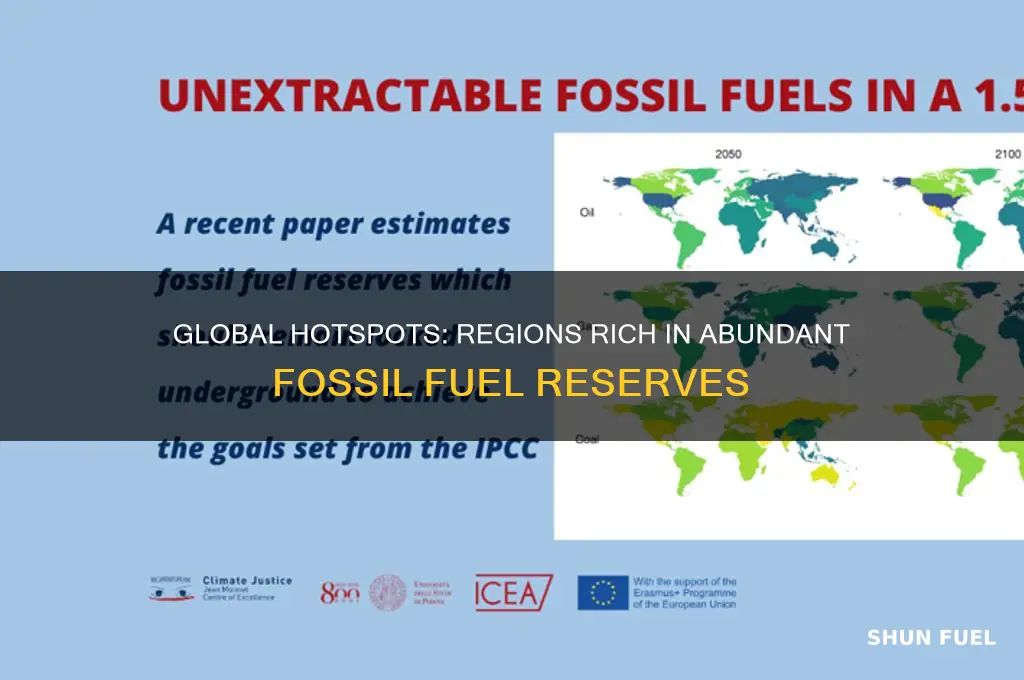 where are fossil fuels found in abundance