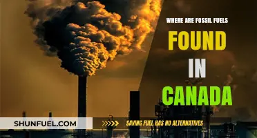 Canada's Fossil Fuel Reserves: Locations and Extraction Insights