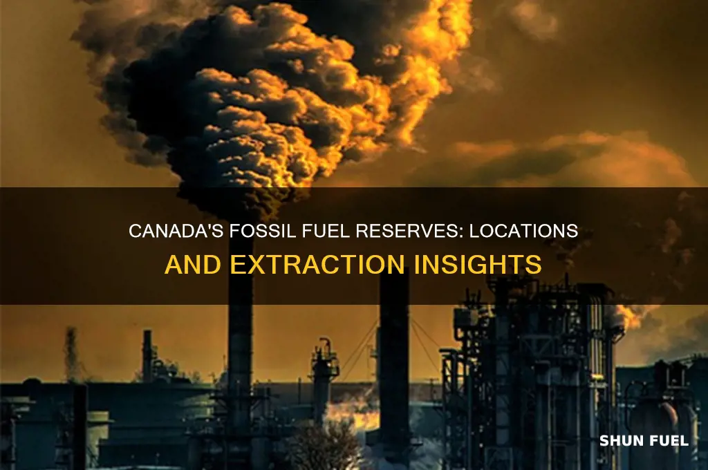 where are fossil fuels found in canada