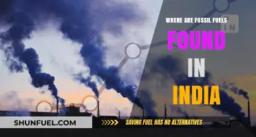Exploring India's Fossil Fuel Reserves: Locations and Significance