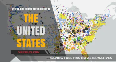 Exploring America's Fossil Fuel Reserves: Key Locations Across the U.S