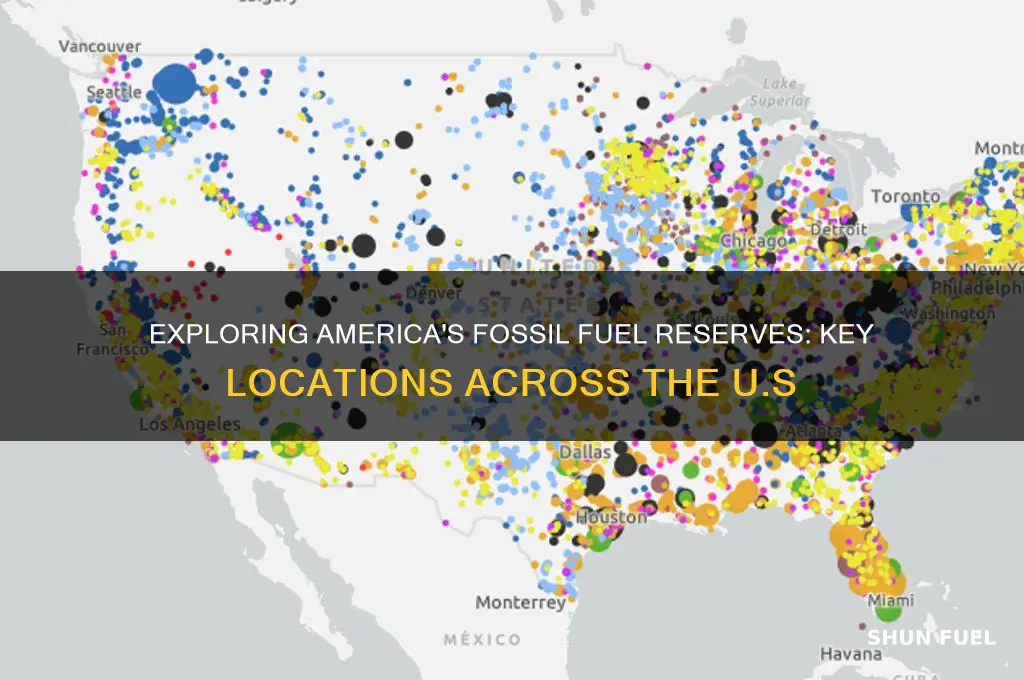 where are fossil fuels found in the united states