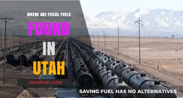 Utah's Fossil Fuel Reserves: Locations and Extraction Sites Explained