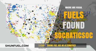 Exploring Fossil Fuel Locations: A Socratic Inquiry into Earth's Energy Reserves