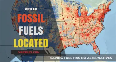 Fossil Fuel Deposits: Where Are They Located?