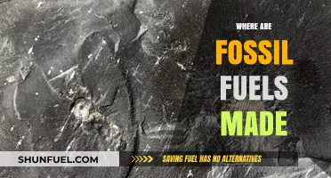 The Origins of Fossil Fuels: Uncovering Their Ancient Formation Process