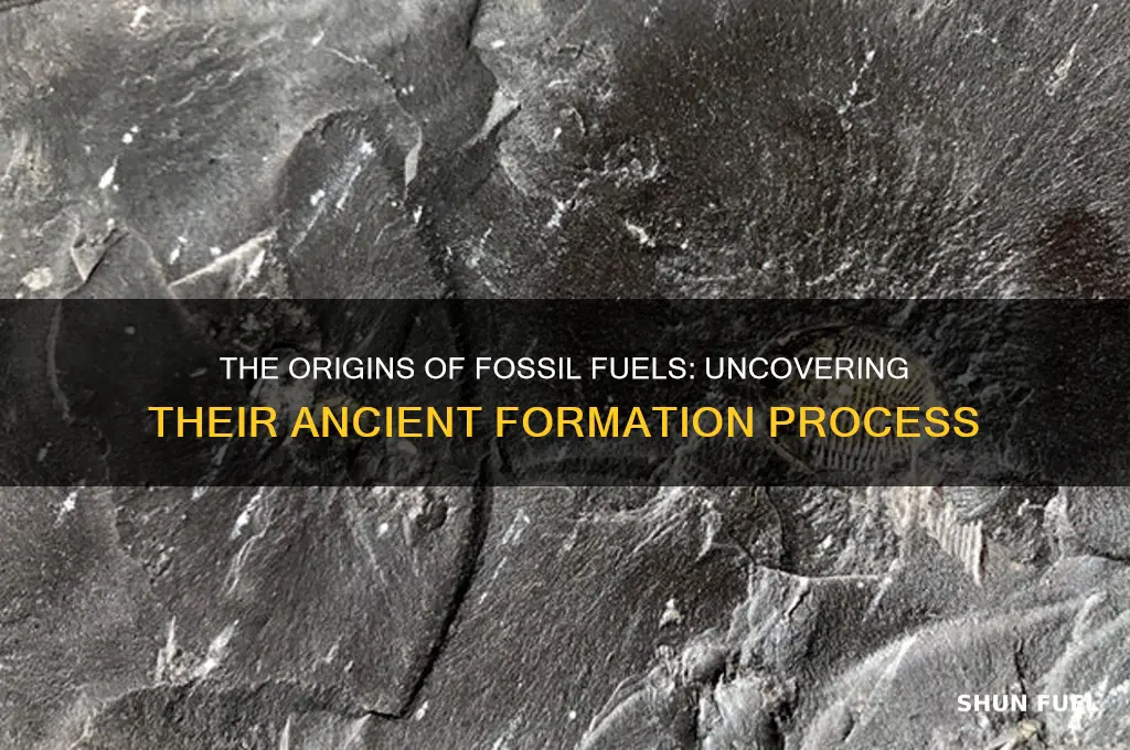 where are fossil fuels made