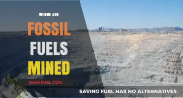 Exploring the Global Extraction Sites of Fossil Fuels: Where and How