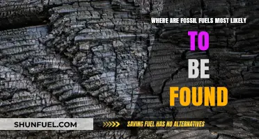 Exploring Fossil Fuel Deposits: Key Locations and Geological Conditions