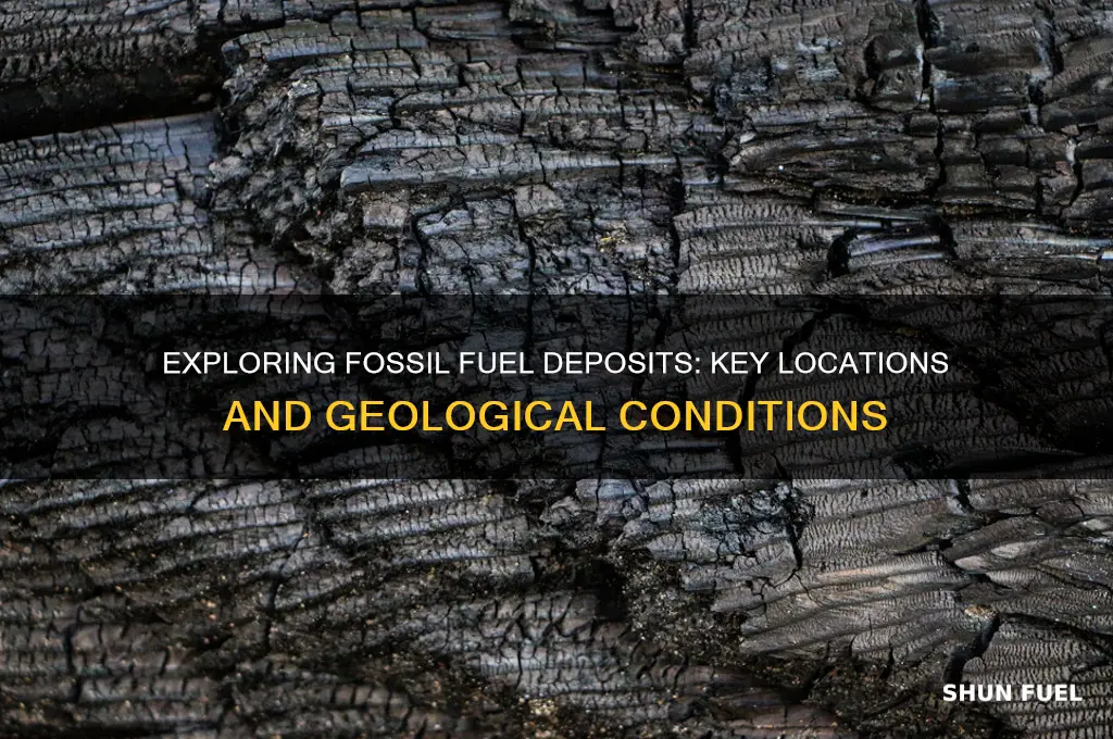 where are fossil fuels most likely to be found
