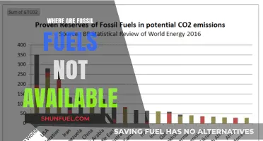 Fossil Fuel-Free Zones: Exploring Untapped Sources