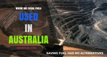 Australia's Fossil Fuel Usage: Industries, Energy, and Environmental Impact