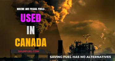 Canada's Fossil Fuel Usage: Industries, Energy, and Environmental Impact
