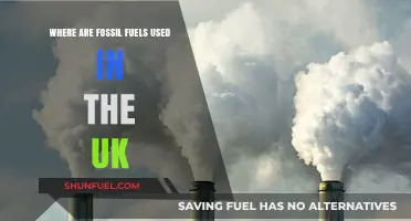 UK's Fossil Fuel Usage: Industries, Energy, and Daily Applications Explored