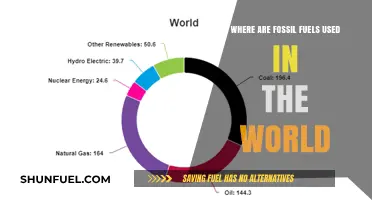 Global Fossil Fuel Usage: Industries, Energy, and Everyday Applications