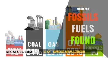 Uncovering Fossil Fuels: Locations and Extraction Sites Worldwide