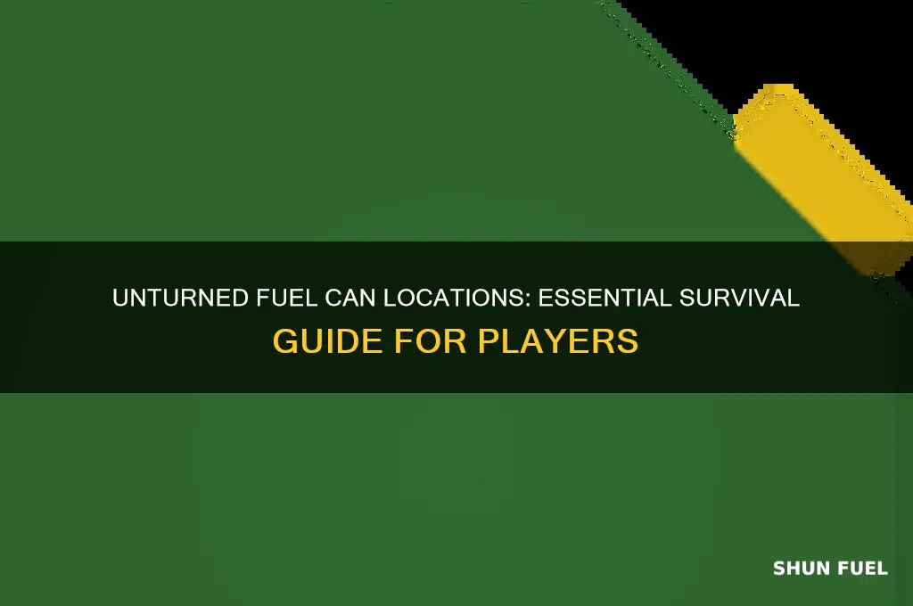 where are fuel cans unturned
