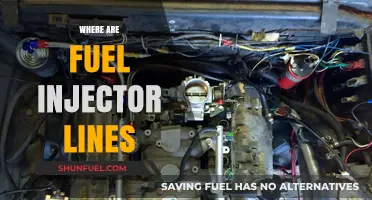 Unveiling the Mystery: Where Are Your Fuel Injector Lines?