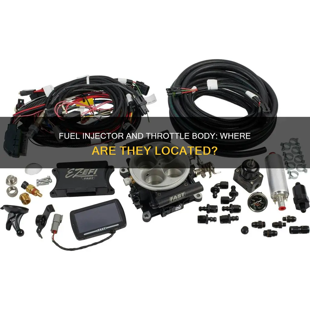 where are fuel injector throttle body