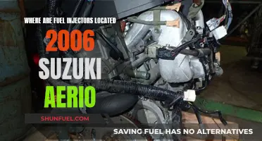 Fuel Injector Location in 2006 Suzuki Aerio Models