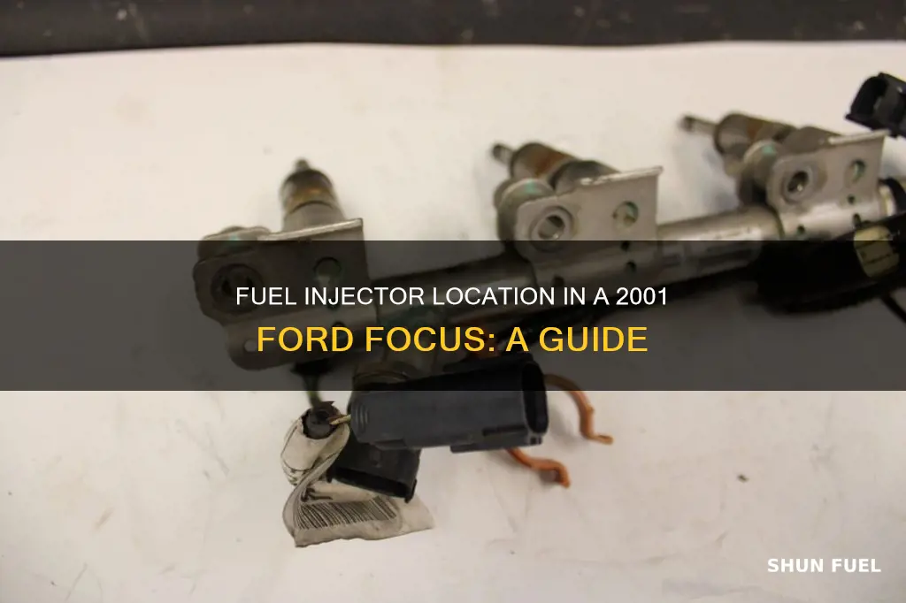 where are fuel injectors on ford focus 2001