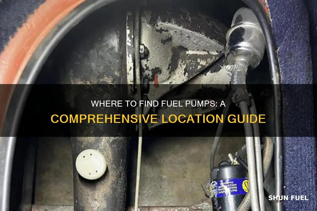 where are fuel pumps located