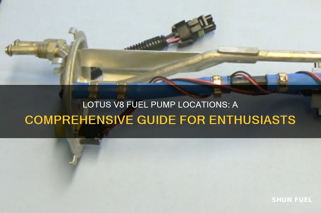 where are lotus v8 fuel pumps