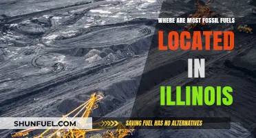 Illinois' Fossil Fuel Reserves: Key Locations and Extraction Sites