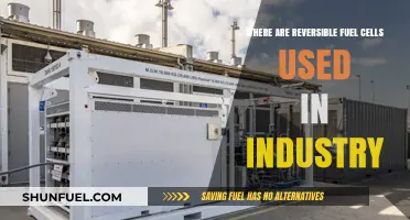 Reversible Fuel Cells: Industrial Applications and Key Use Cases