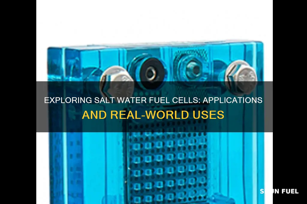 where are salt water fuel cells used
