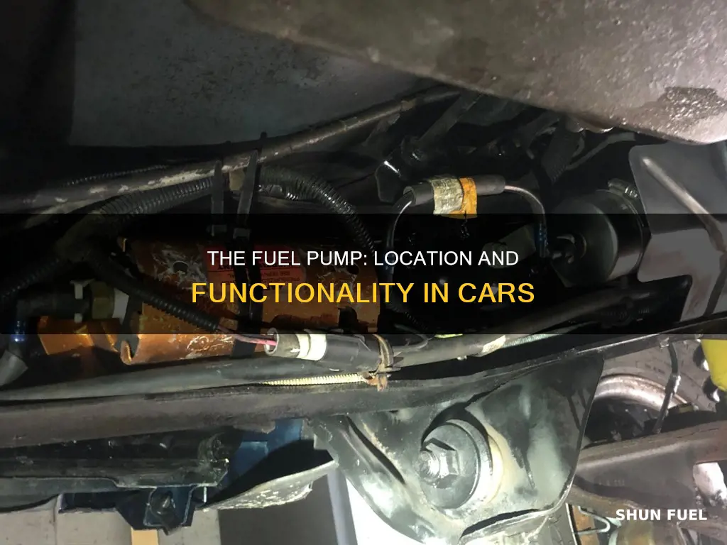where are the car fuel pumplocated