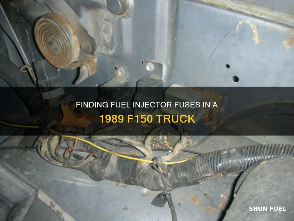 where are the fuel injector fuses in 1989 f150
