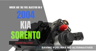 Fuel Injector Location in 2004 Kia Sorento