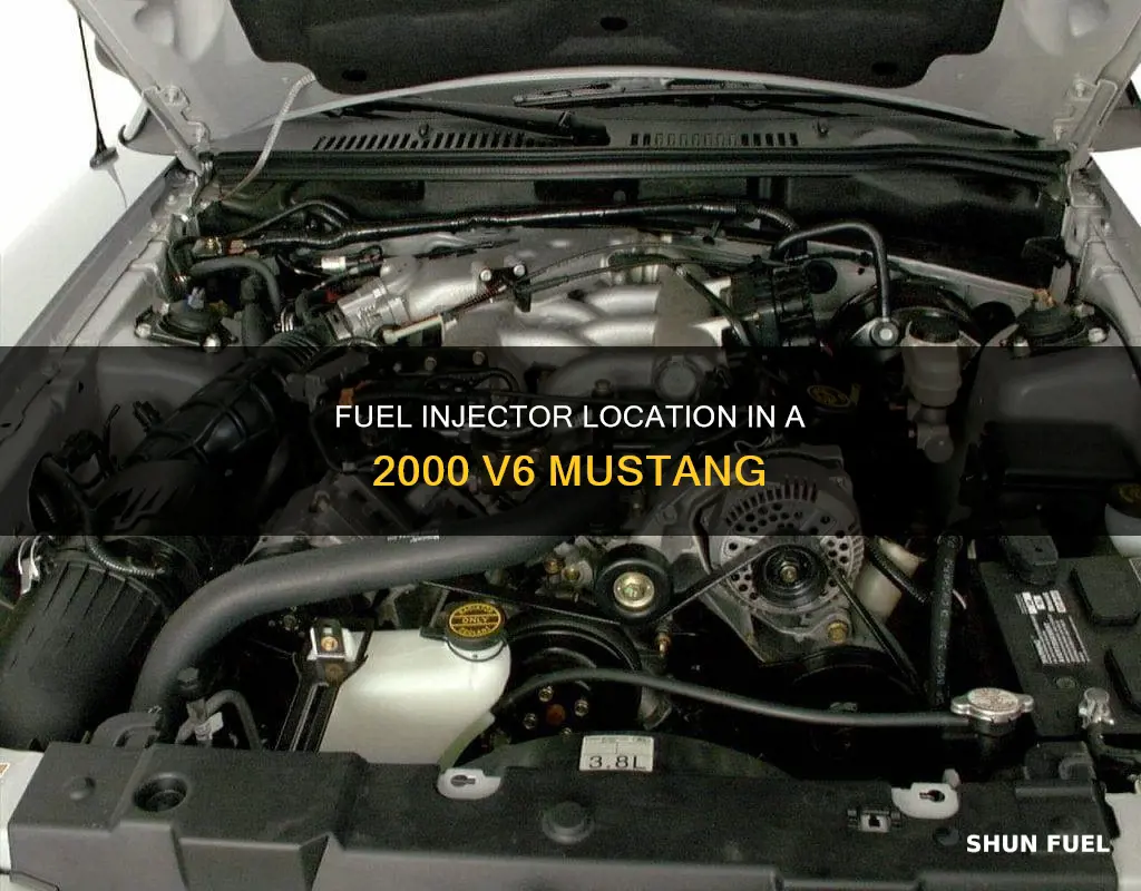 where are the fuel injectors on a 2000 v6 mustang