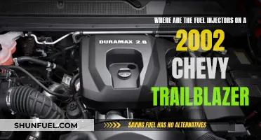Finding Fuel Injectors in a 2002 Chevy Trailblazer