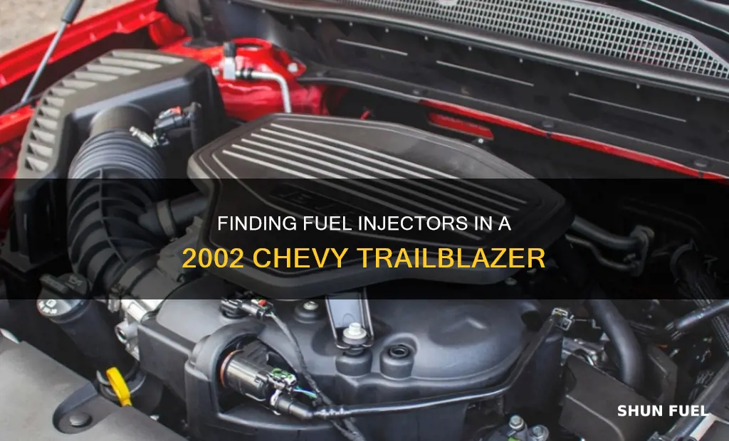 where are the fuel injectors on a 2002 chevy trailblazer