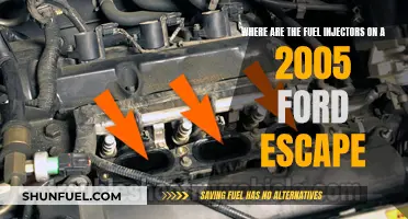 Ford Escape 2005: Fuel Injector Location and Maintenance Guide