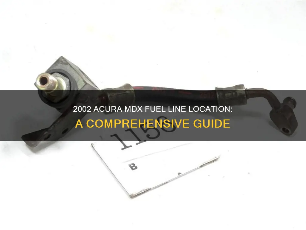 where are the fuel lines in a 2002 acura mdx