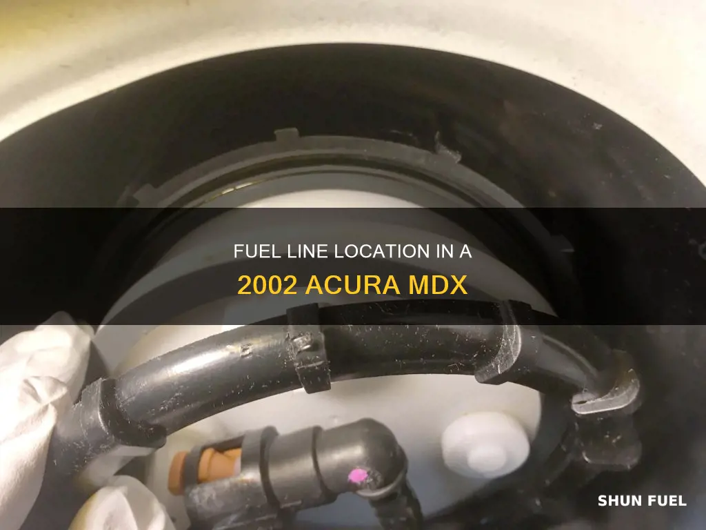 where are the fuel lines in a 2002 acura mdx