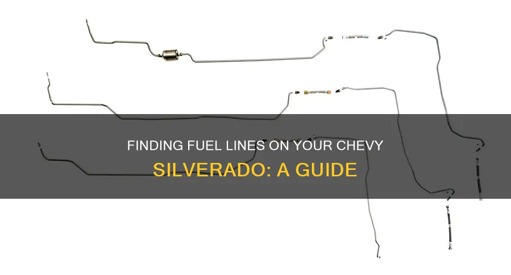 where are the fuel lines located on a chevy silverado