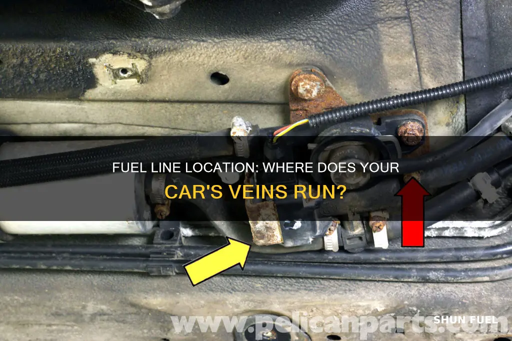 where are the fuel lines located