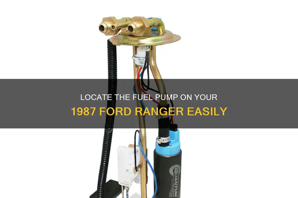 where are the fuel pump located on 87 ford ranger