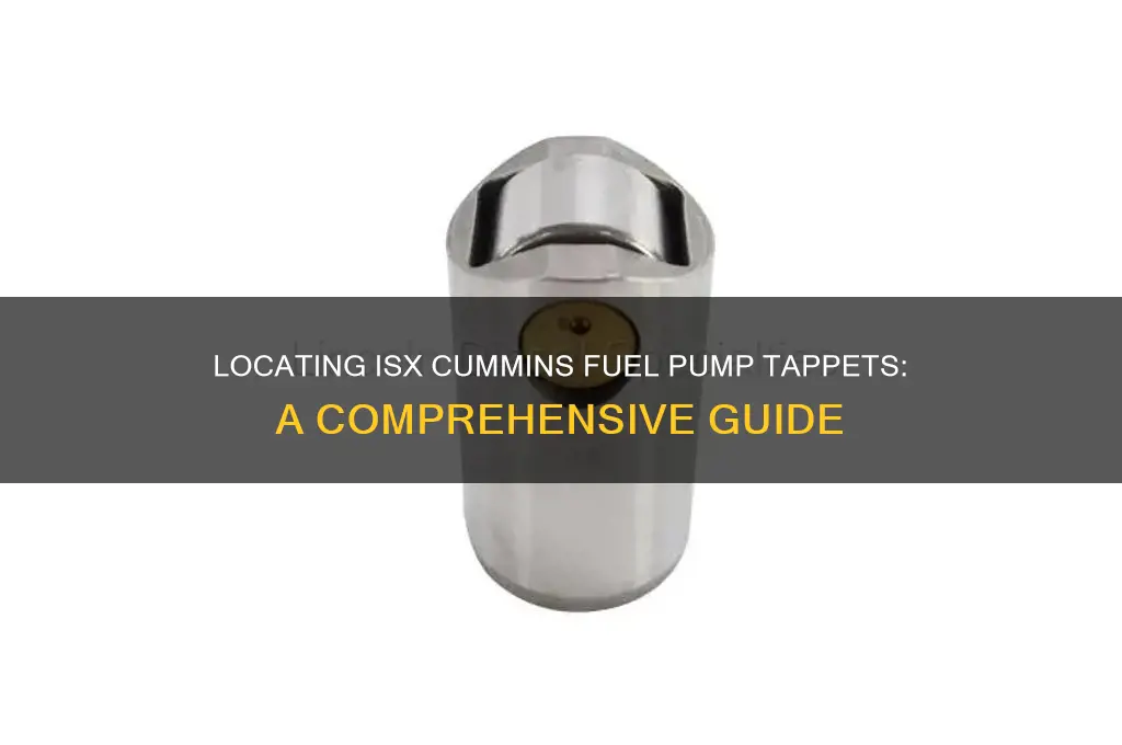 where are the fuel pump tappets in a isx cumins