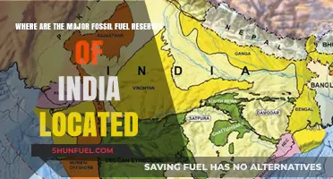 India's Fossil Fuel Reserves: Key Locations and Significance