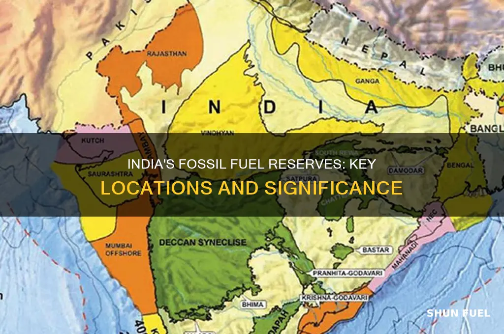 where are the major fossil fuel reserves of india located