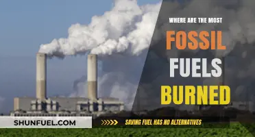 The Global Hotspots of Fossil Fuel Consumption