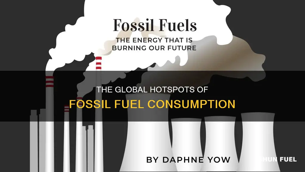 where are the most fossil fuels burned