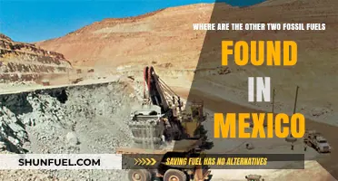 Exploring Mexico's Hidden Fossil Fuels: Uncovering Coal and Natural Gas Reserves